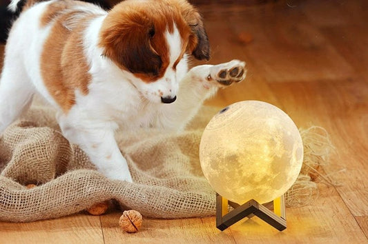 Mesečeva lampa – dodir magije i topline u vašem domu 🌙 (Ø 15 cm)